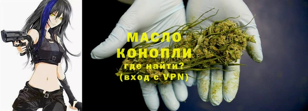 ECSTASY Бородино