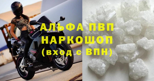первитин Богданович