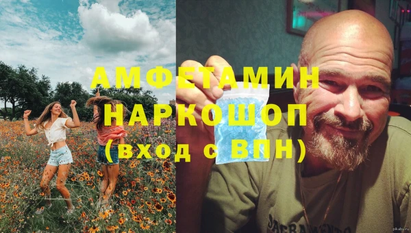 ECSTASY Бородино
