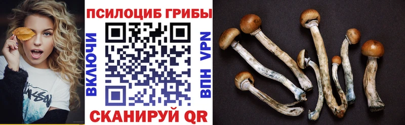 Галлюциногенные грибы Cubensis  Купить  Любань 